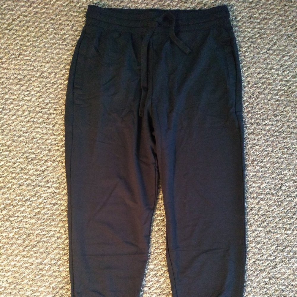 NWT Fabletics Luxe Terry Jogger (Black)